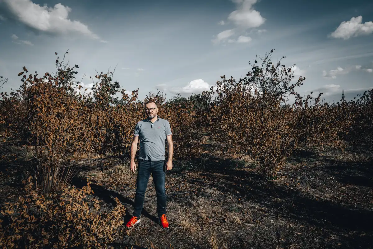 Haselnussbauer Bosko vor seinen verbrannten Sträuchern