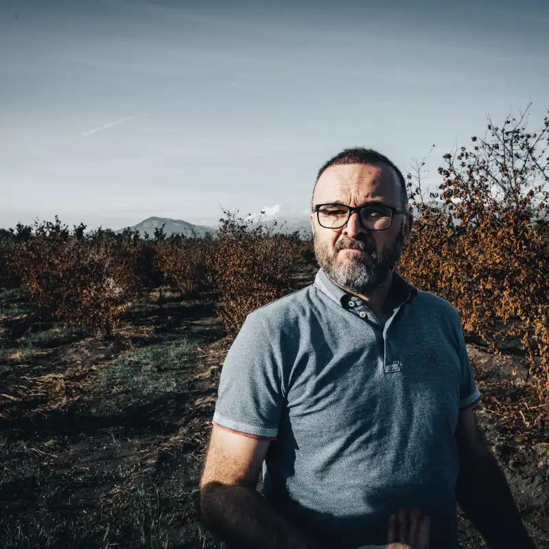 Haselnussbauer Boško vor seinen verbrannten Bäumen