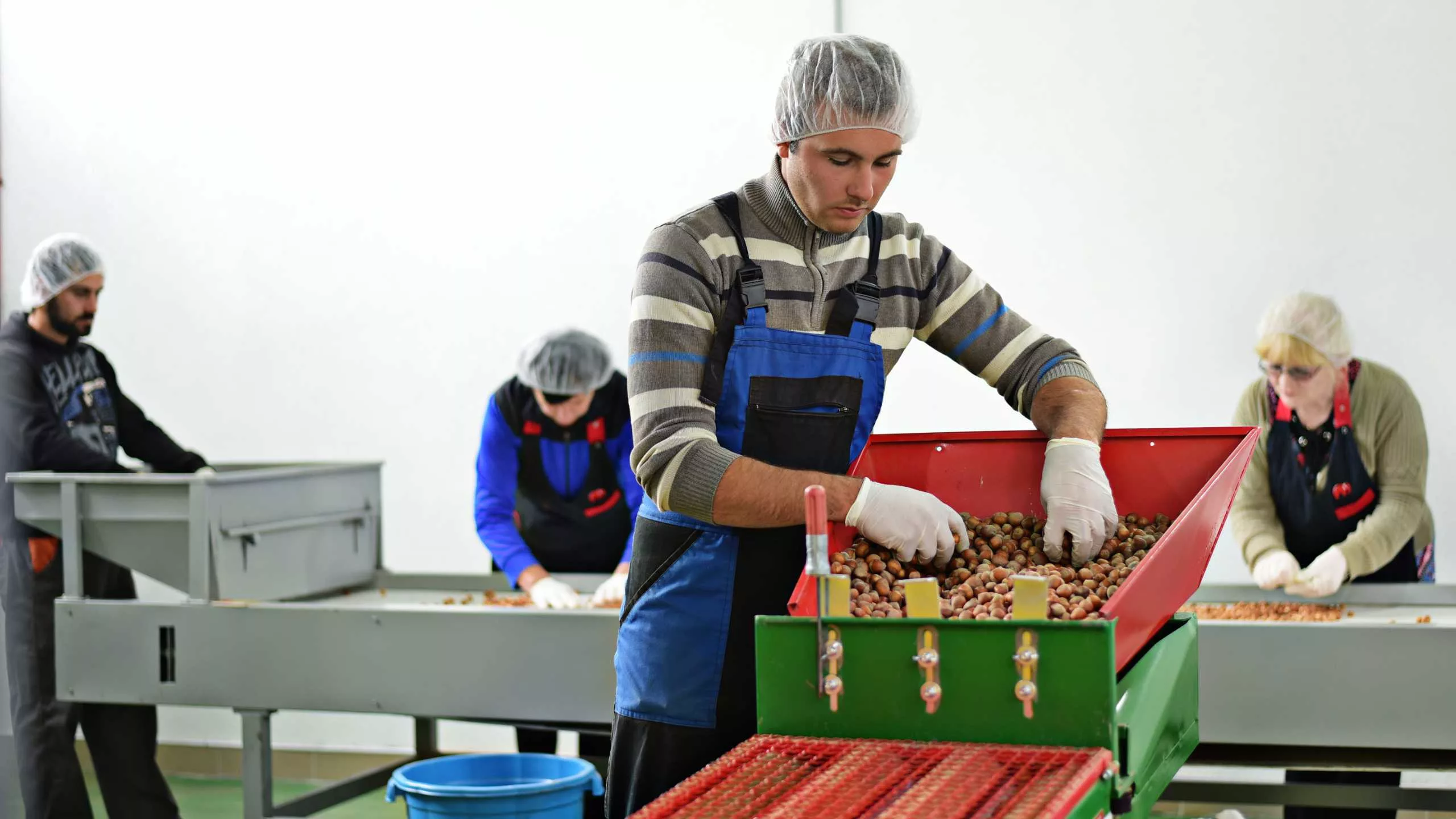 ArbeiterInnen bei der Selektion von Bi Haselnüssen