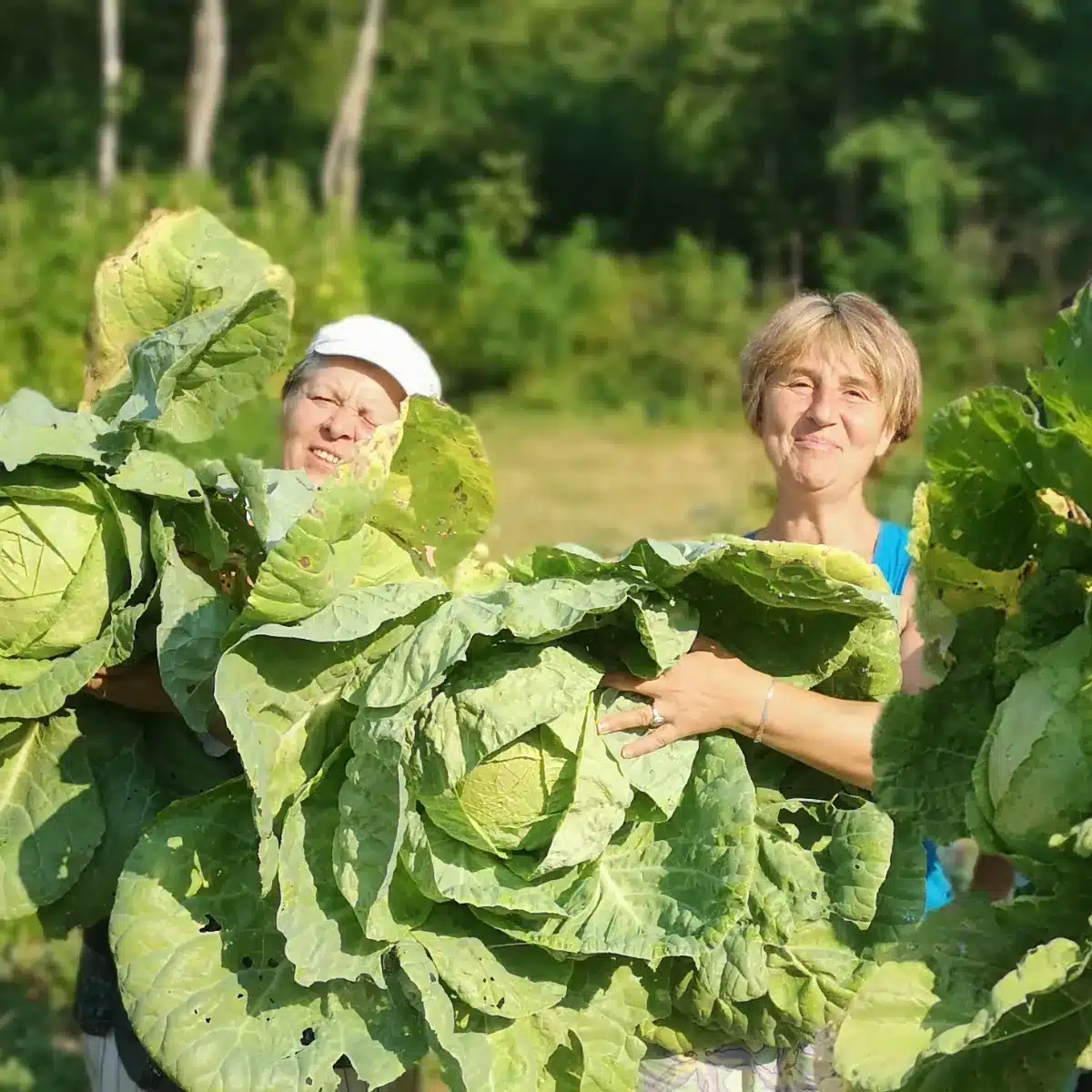 Dobrica und Slobodanka mit Kraut