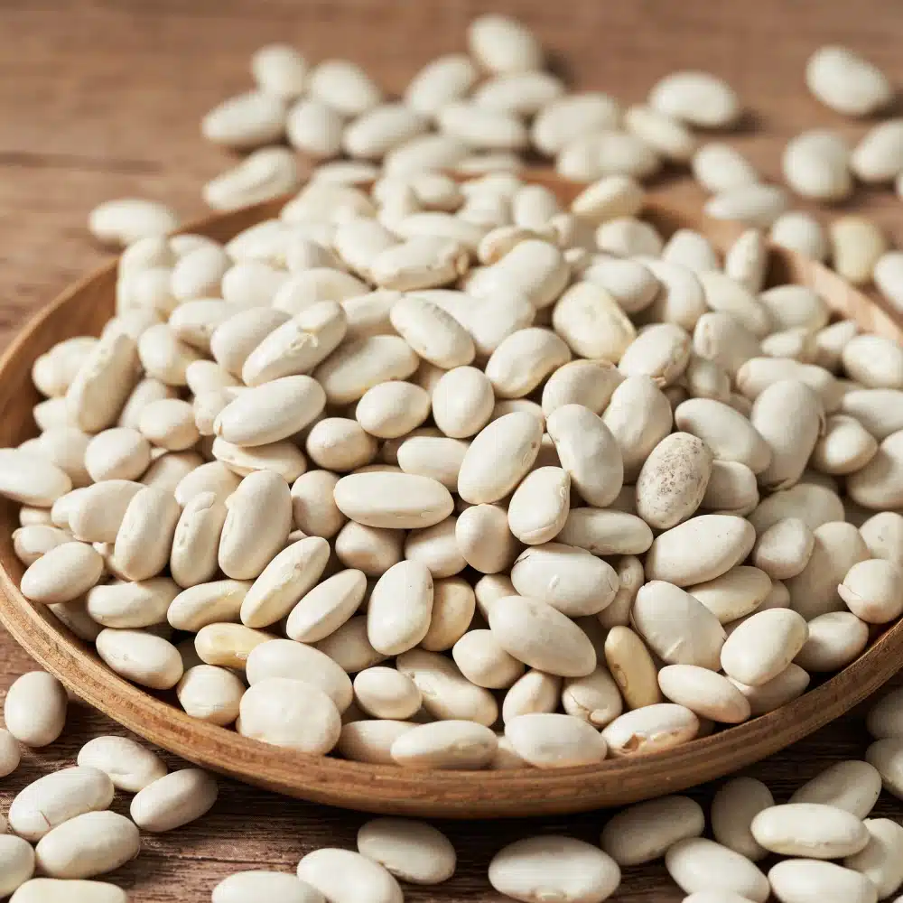 Weiße Bohnen für Prebranac